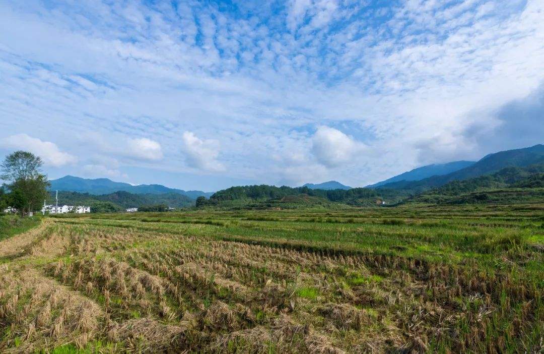 国家临时用地补偿标准